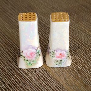 Antique Bavaria Hand Painted Porcelain Salt Pepper Shaker Floral Roses Victorian